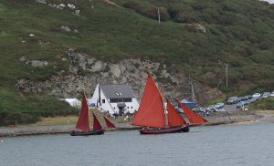 Traditional sailing boats and Galway Hookers on Clifden Bay